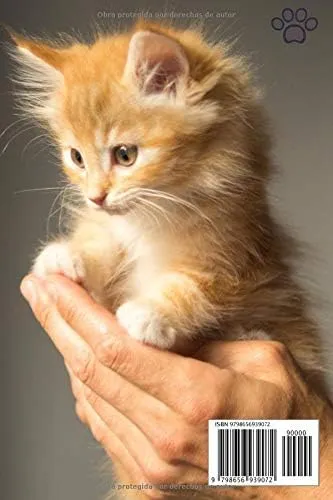 comprar Libro: La Salud De Mi Gato: Registro De Salud Veterinaria |