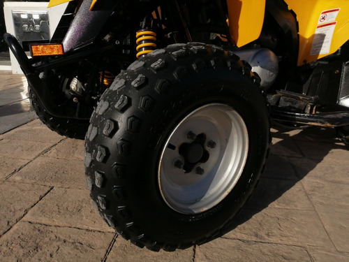 Imagen 7 de 10 de Can-am Ds 250 2013