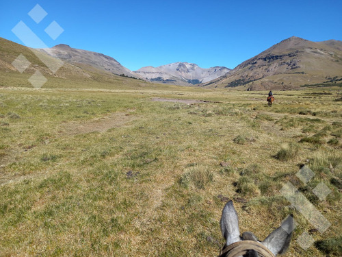 Venta De Estancia En Ruta Provincial 21, Kilómetro 31, Departamento Picunches, Paraje Huarenchenque