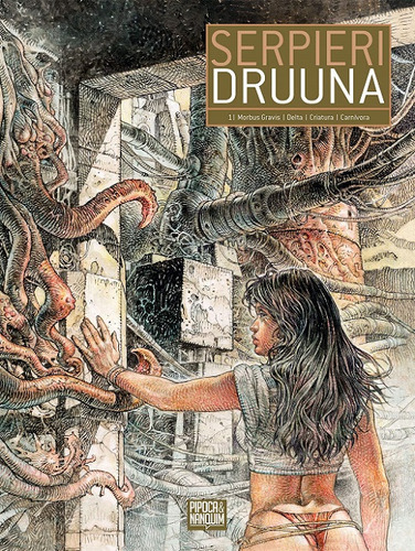 Druuna Vol. 1, De Júlio Schneider., Vol. Não Aplica. Editora Pipoca E Nanquim, Capa Mole Em Português