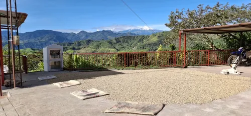 Venta De Finca Cafetera En Fresno Tolima