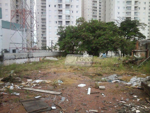 Imagem 6 de 8 de Terreno Comercial À Venda, Vila Sorocabana, Guarulhos - Te0094. - Te0094