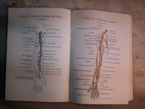 Atlas Manual De Anatomia Por Victor Pauchet Y S. Dupret