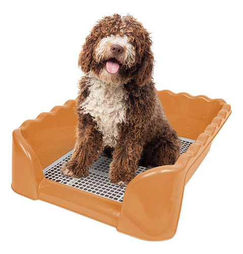 Caja Orinal Para Mascotas Perros De Raza Chica Y Mediana