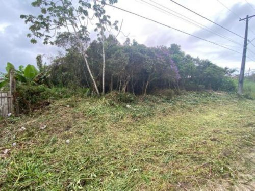 Imagem 5 de 7 de Terreno De Chácara Localizado No Bairro Chácara Glória, Em Itanhaém, Com 1680 M² De Área Total, Aceita Entrada Mais Parcelas