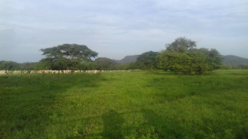 Imagen 14 de 14 de Grandiosa Finca En Via Al Baul 1200 Hectareas