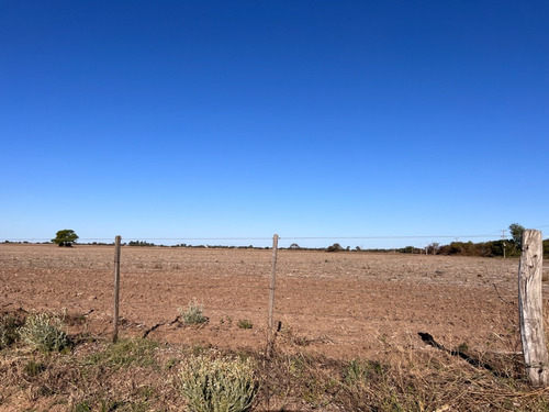 Imagen 6 de 13 de Campo Agricola En Venta , Zona Camino Capilla De Los Remedios Y Ruta 9 Sur , Cordoba , Argentina