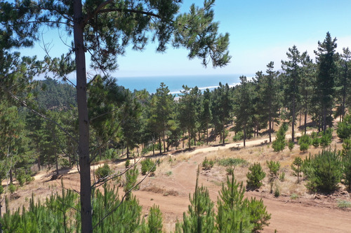 Excelente Terreno En Boyeruca