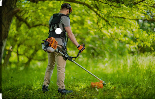 Servicio De Limpieza De Canales Jardineria Poda Desmalezado