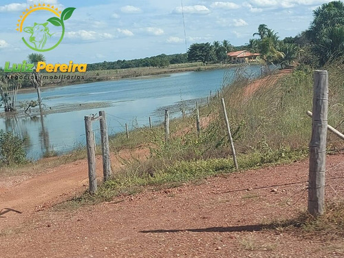 Imagem 1 de 15 de Fazenda À Venda Em Vale Do Araguaia - T0 - 20% De Reserva (dupla Aptidão) - 1738