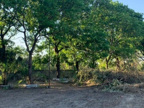 Imagen 15 de 22 de Comercial Terreno En Venta
