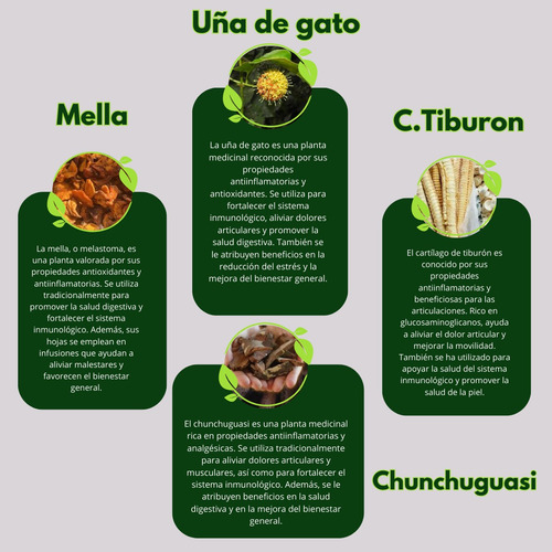 Pastillas Para Fortalecer Sistema Nervioso Y Reducir Fatiga