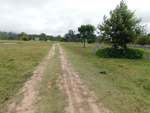 Imagen 2 de 15 de Quinta En Venta En Maldonado
