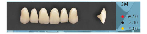 Bolsa Para Tablilla De Dientes Acrilico Newcryl C/1 Set