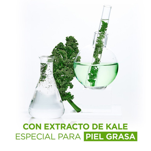 Imagen 7 de 7 de Ampolleta En Mascarilla De Tela Kale Efecto Detox Garnier