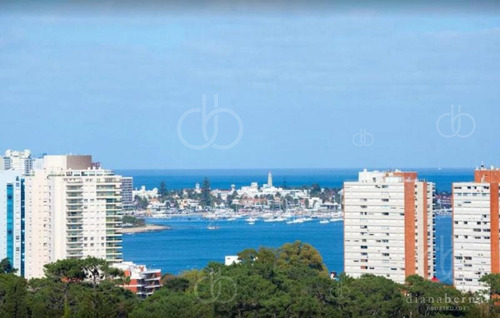 Imagen 6 de 21 de Apartamento En Roosevelt, 1 Dormitorio Con Terraza En Yoo Punta Del Este