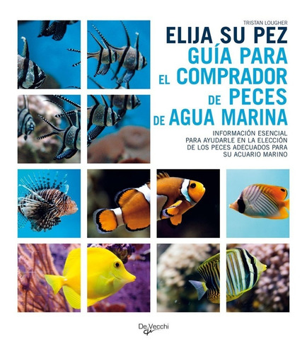 Elija Su Pez Guia Para El Comprador De Peces De Agua Marina