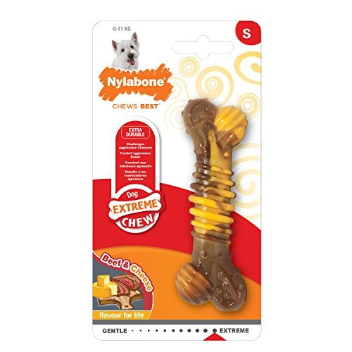 Nylabone Flavour Frenesí Regular Dura Chew Cheesesteak Con 