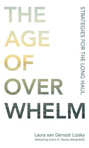 Livro: The Age Of Overlowm: Estratégias Para O Longo Prazo