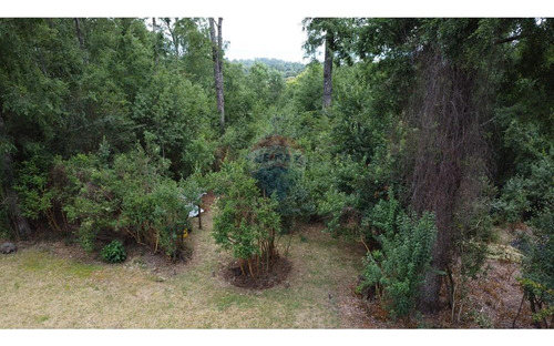 House, Cabin And Pool On A 5,923 M² Plot