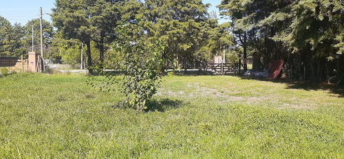 Imagen 1 de 7 de Venta Terreno Parque Sakura Exaltación De La Cruz Sin Expensas