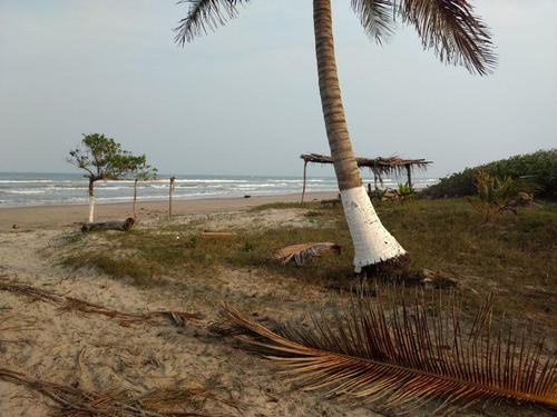 Venta Terreno 200 Hectáreas Playa A Laguna Tamiahua Veracruz