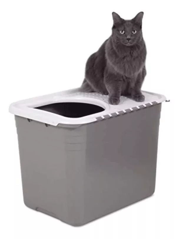Tercera imagen para búsqueda de caja de arena para gatos