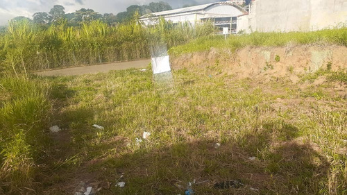 Imagen 6 de 6 de Terreno En Venta Barrio El Lobo