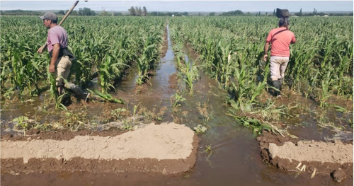 Campo Agricola / Ganadero Sobre Ruta 8 San Luis