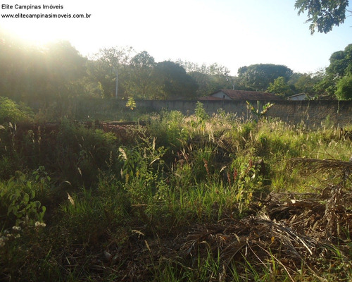 Imagem 4 de 4 de Chacara - Ch00103 - 68191099