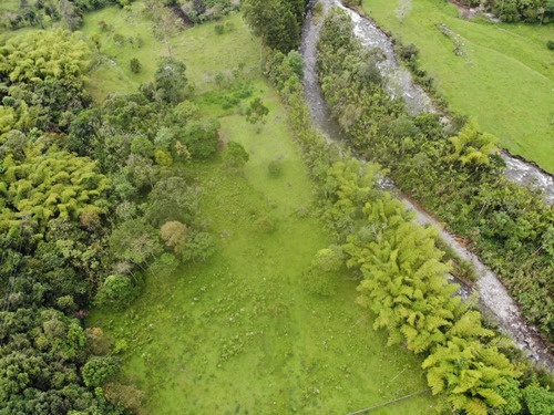 Se Vende Finca Salento Quindio Bosque Nativo Reserva Hidrica