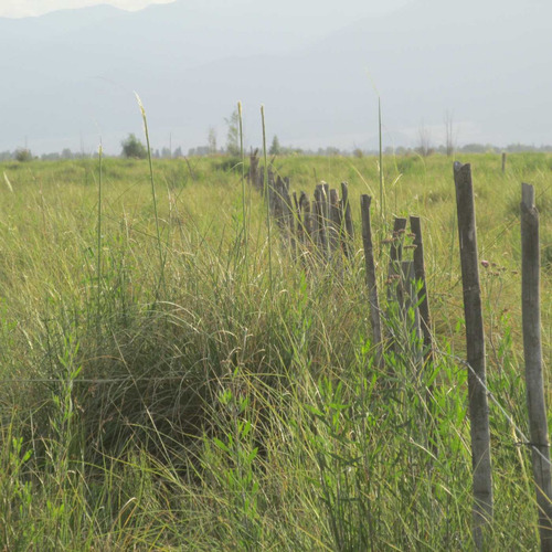 Campo Con Vertiente En Venta Tunuyán Valle De Uco