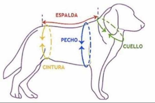 Cargador Canguro Morral Para Mascotas - Perros