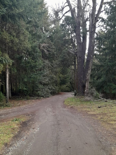 Venta Terreno / Lote Villa La Angostura