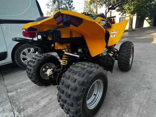 Imagen 5 de 21 de Cuatriciclo Can Am Ds 250 Con Trailer