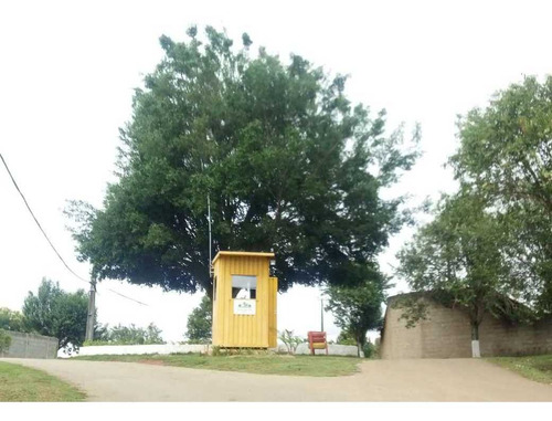 Imagem 6 de 13 de Excelente Terreno 1.000 M² Em Condomínio Fechado-cód.t404