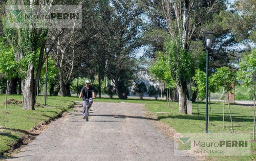 Imagen 15 de 17 de Terreno - La Plata