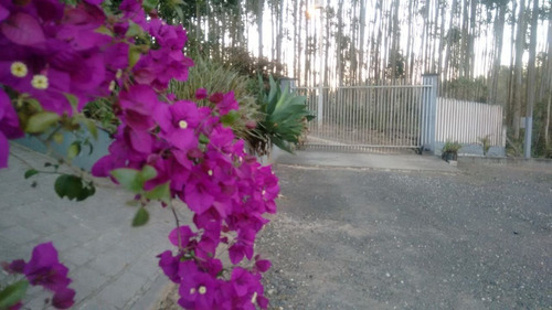 Chácara Em Campo Largo ( Bairro Felpudo,próximo Posto Quinta