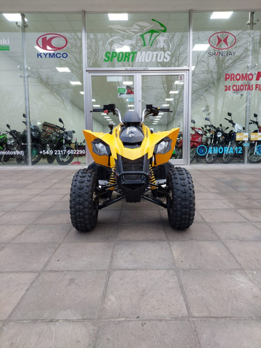 Imagen 2 de 16 de Cuatriciclo Can-am Ds 250