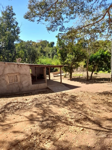Imagem 10 de 14 de Chácara Com Água Em Aparecida De Goiânia