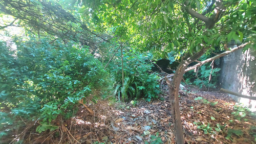 Venta Casa / Terreno / Lote Morón Sur