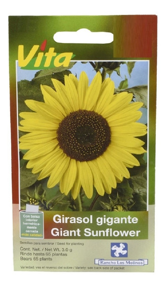 Moda moderna Soteer Seed House 50 Piezas Semillas de girasol gigante  Colorido Balcón Semillas de flor Autumn Magic Protector de pantalla Plantas  ornamentales para jardín Balcón/Patio Productos de moda Tide Flow Entrega