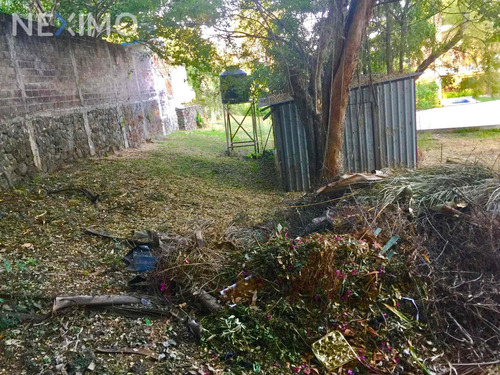 Imagen 8 de 10 de Terreno En Venta En Chapultepec, Cuernavaca