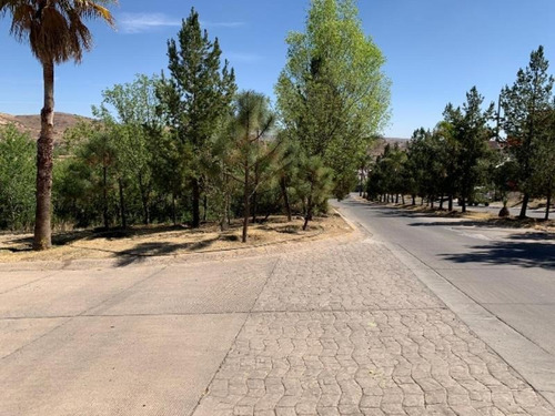 Imagen 5 de 7 de Terreno En Venta Fraccionamiento Ciudad San Isidro