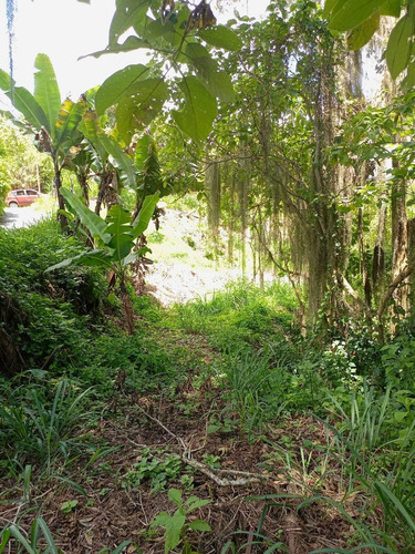 Imagen 12 de 16 de Best House Vende Terreno En San Antonio De Los Altos, Vía Al Faro.