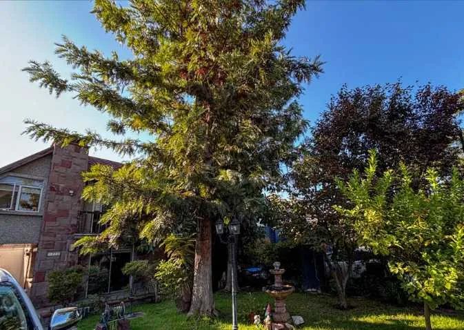 Imagen 2 de 20 de Casa En Barrio Tranquilo Y Seguro (132678)
