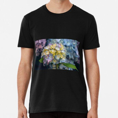 Remera Colores De Hortensias Algodon Premium