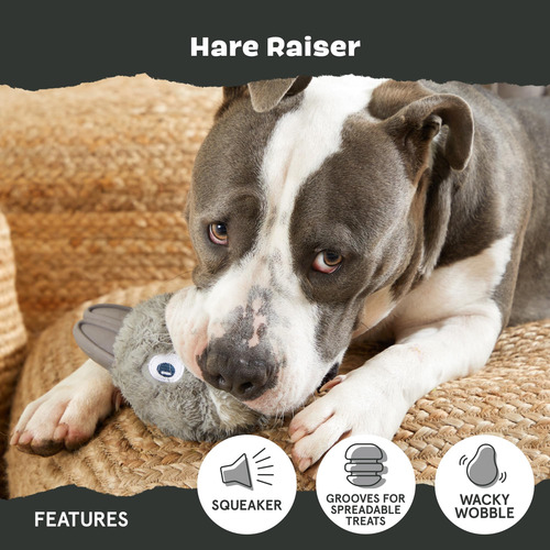 Juguete De Goma Para Perro Bark Hare Raiser Liebre-large