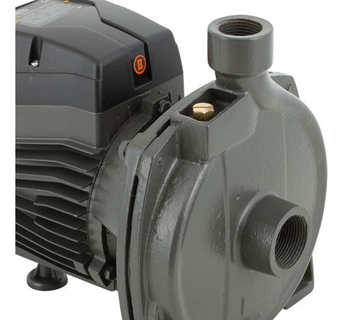 Bomba Superficie Centrífuga 1,5hp Bercatti//cyj