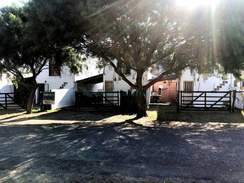 Imagen 4 de 30 de Colonia Del Sacramento, Ferrando- Conjunto De Propiedades